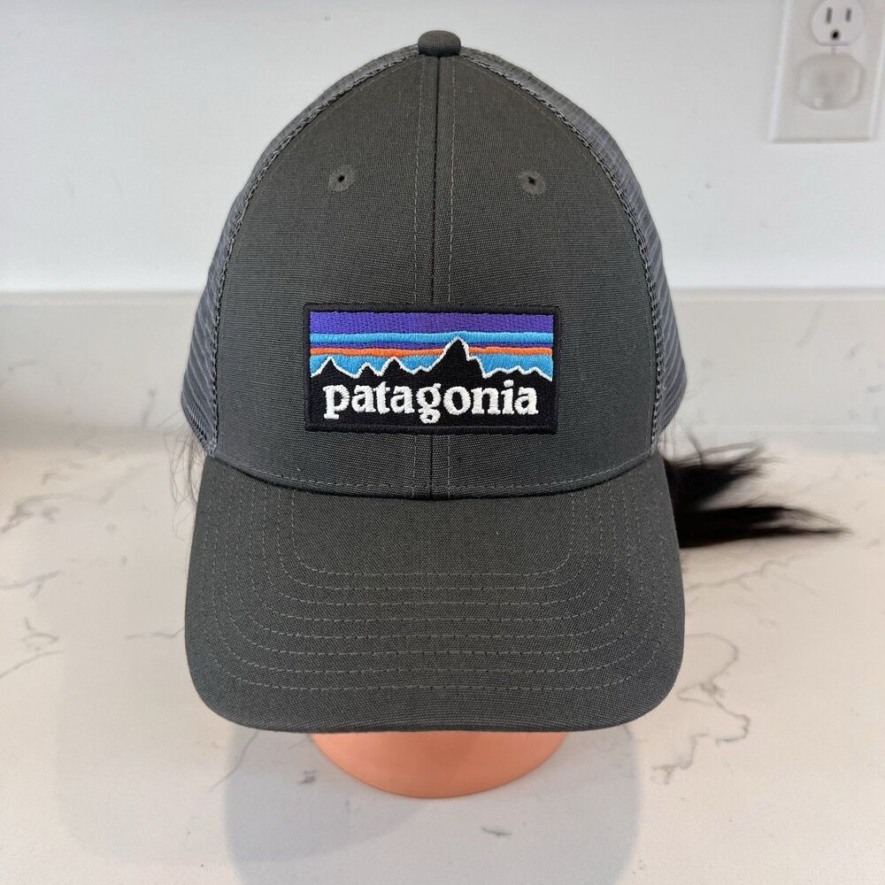 Patagonia P-6 Logo Trucker SnapBack Hat